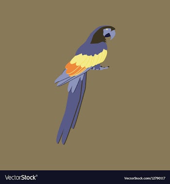 In flat style of parrot vector image