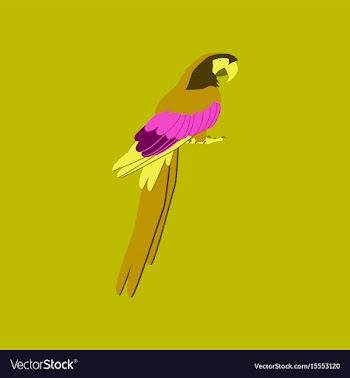 In flat style of parrot vector image