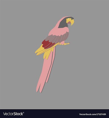 In flat style of parrot vector image