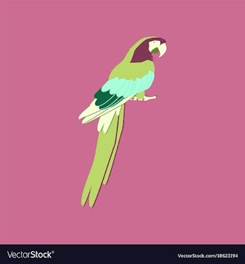 In flat style of parrot vector image