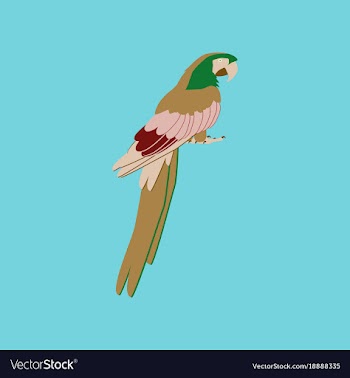 In flat style of parrot vector image
