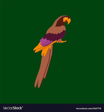 In flat style of parrot vector image