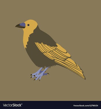In flat style of raven vector image