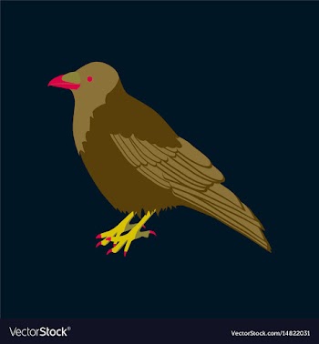 In flat style of raven vector image