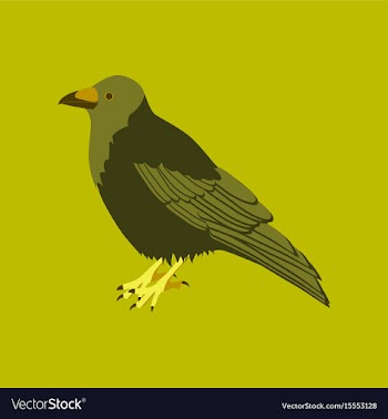 In flat style of raven vector image