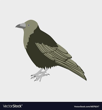 In flat style of raven vector image