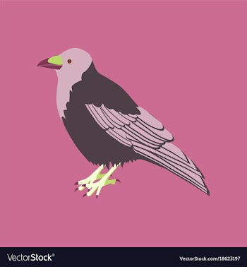 In flat style of raven vector image
