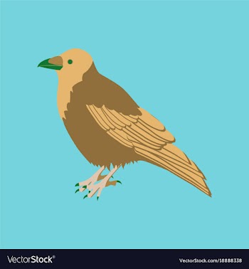 In flat style of raven vector image