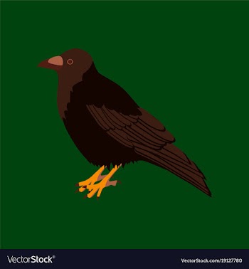 In flat style of raven vector image
