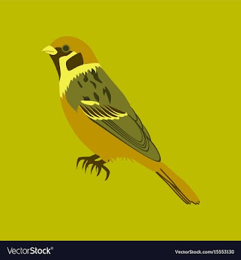 In flat style of sparrow vector image