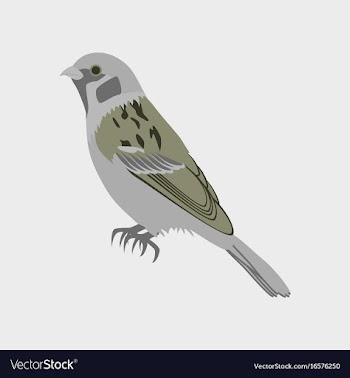 In flat style of sparrow vector image