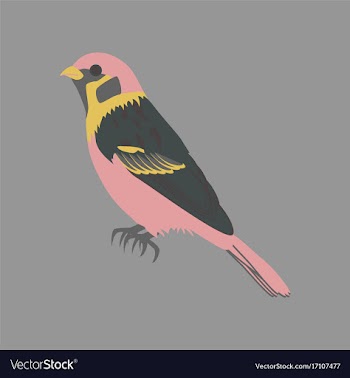 In flat style of sparrow vector image