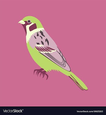 In flat style of sparrow vector image