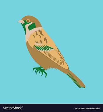 In flat style of sparrow vector image