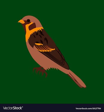 In flat style of sparrow vector image