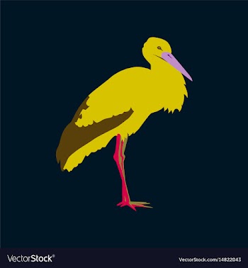 In flat style of stork vector image