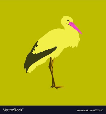 In flat style of stork vector image