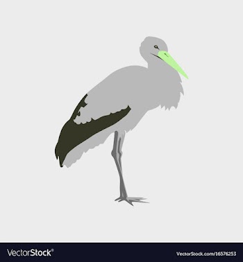 In flat style of stork vector image