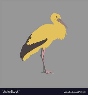 In flat style of stork vector image