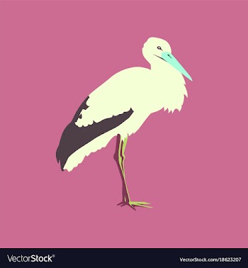 In flat style of stork vector image