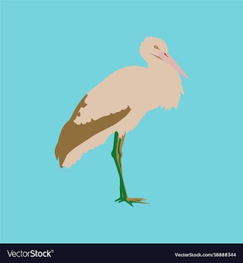In flat style of stork vector image