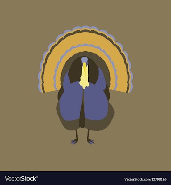 In flat style of turkey vector image