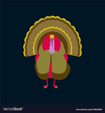 In flat style of turkey vector image