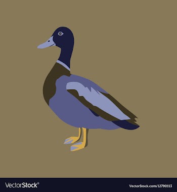 In flat style of wild duck vector image