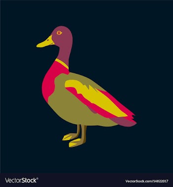 In flat style of wild duck vector image