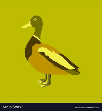 In flat style of wild duck vector image