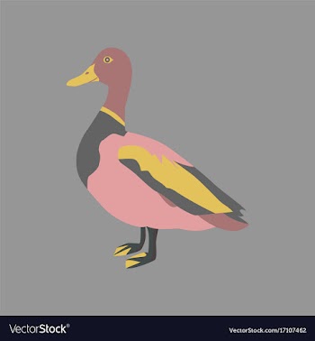 In flat style of wild duck vector image