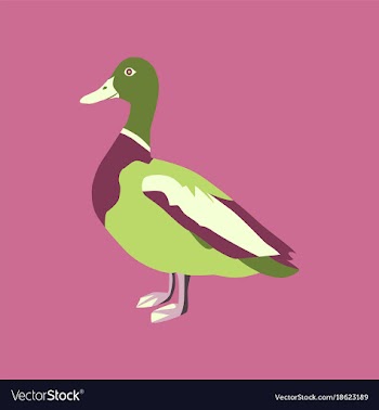 In flat style of wild duck vector image