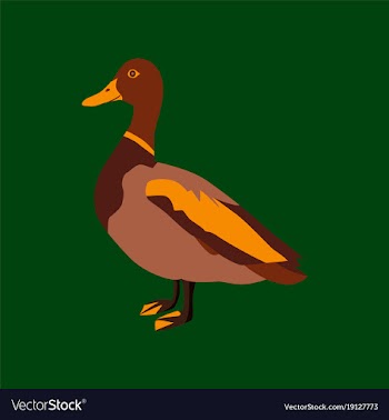 In flat style of wild duck vector image
