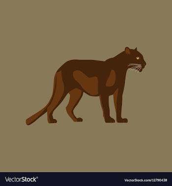 In flat style panther vector image