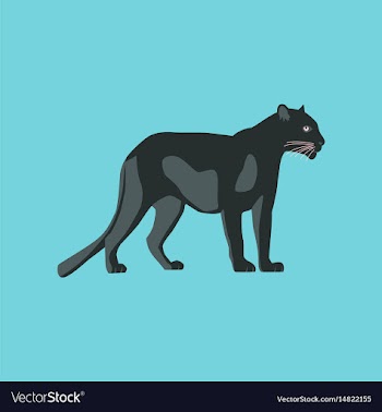 In flat style panther vector image