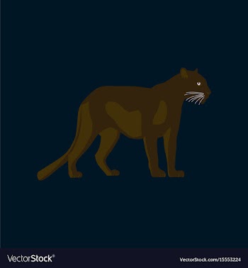 In flat style panther vector image