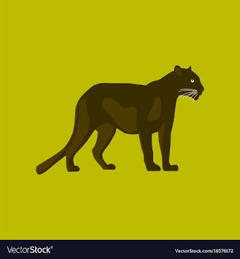 In flat style panther vector image