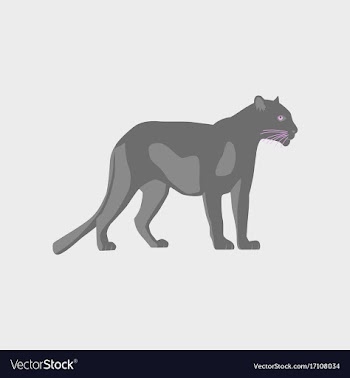 In flat style panther vector image