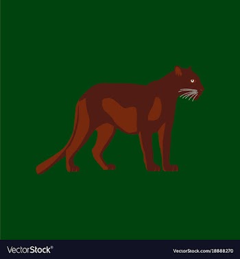 In flat style panther vector image