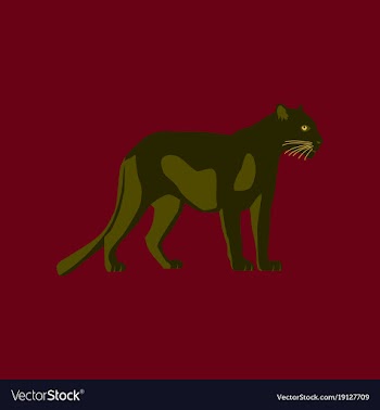 In flat style panther vector image