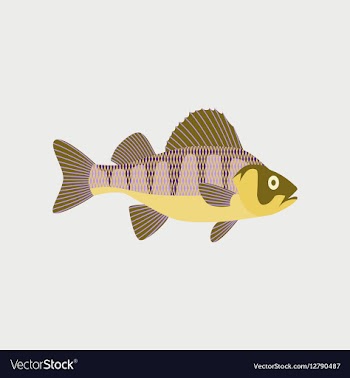 In flat style perch vector image