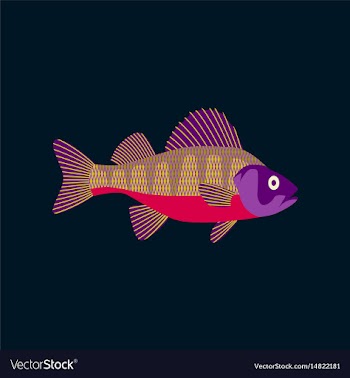 In flat style perch vector image