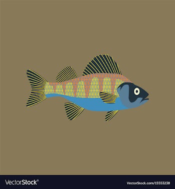 In flat style perch vector image
