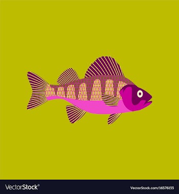 In flat style perch vector image