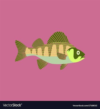 In flat style perch vector image