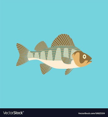 In flat style perch vector image