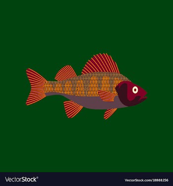 In flat style perch vector image