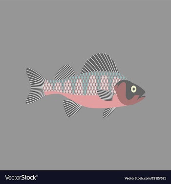 In flat style perch vector image
