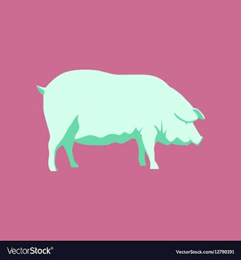 In flat style pig vector image