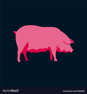 In flat style pig vector image